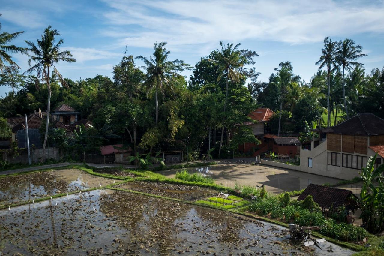 Kemangi, Katik Lantang, Ubud, Bali Apartment Exterior photo